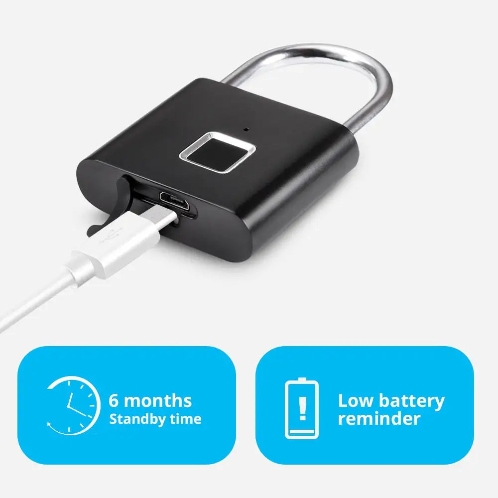 Logic Lock